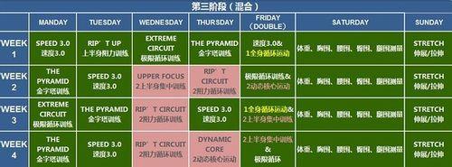 FOCUS T25 健身減肥