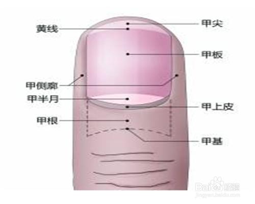 如何去判斷自己氣血充足