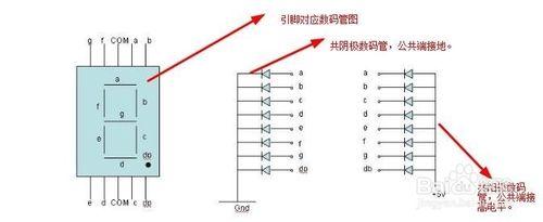 如何區分1位和4位數碼管引腳圖