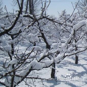 下大雪時注意哪些事項