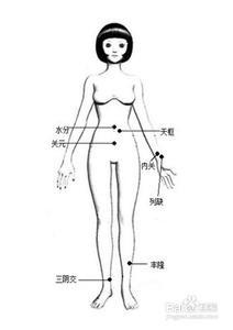 如何有效減肥之拔罐減肥