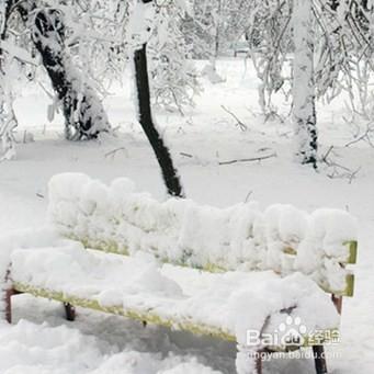 下大雪時注意哪些事項