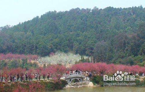 佛山十一旅遊攻略