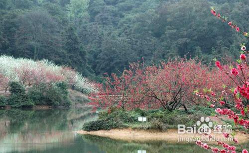 佛山十一旅遊攻略