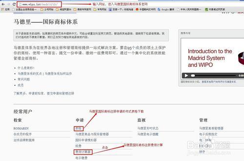 馬德里國際商標註冊官費如何查詢？