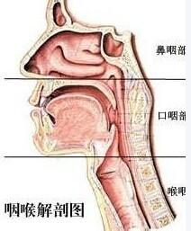 幾招保護自己五官的小辦法