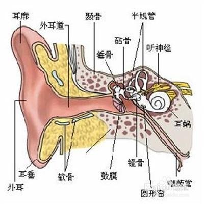 掏耳屎有哪些注意事項