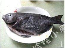 價值1600元的一條極品魚該如何吃——清蒸黑毛魚