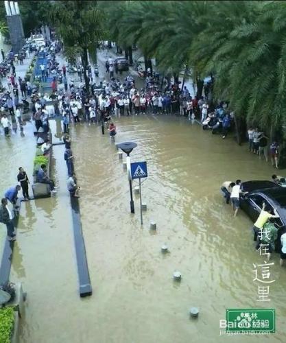 下雨天，不溼鞋完全攻略參上！