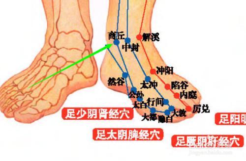 商丘穴位位置圖和作用