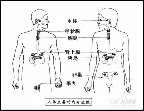 痘痘反覆長怎麼辦