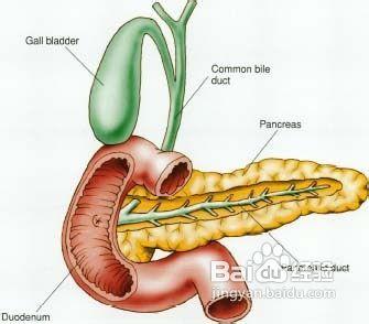 胰腺癌擴散轉移及診斷方法是什麼？