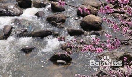 江西八大秀美清涼避暑地