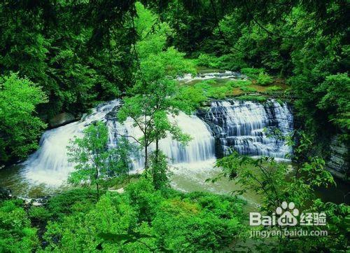 去雲南旅遊騰衝、瑞麗雙飛四天遊