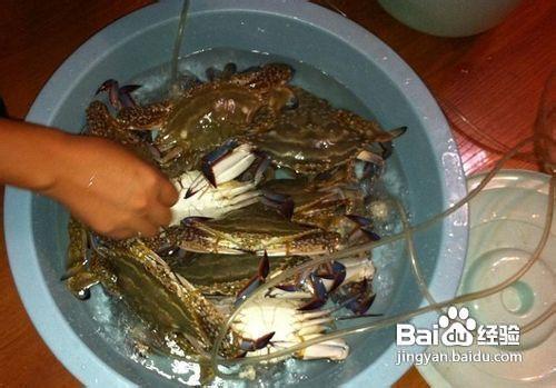 河螃蟹怎麼保存