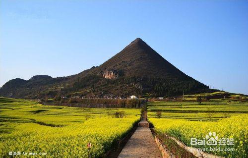 你一定不能錯過的看花好去處！油菜花篇