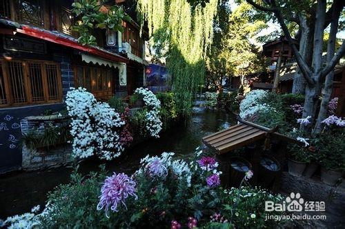 麗江旅遊住宿全攻略