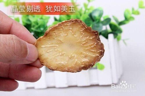 肉蓯蓉鮮乾片的功效及用法