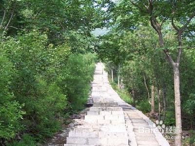 北京蟒山國家森林公園旅遊景點