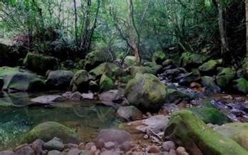 怎麼去爬五指山？