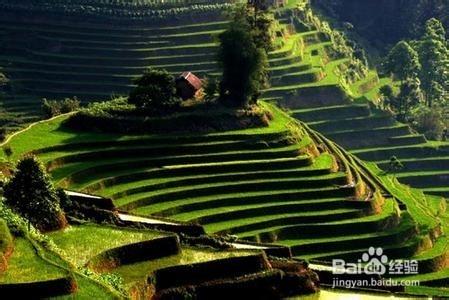 雲南旅遊的地方