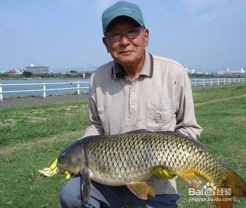 秋季夜釣技巧大全（2）