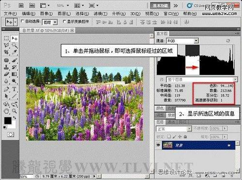 Photoshop直方圖調板調整圖像色彩應用教程