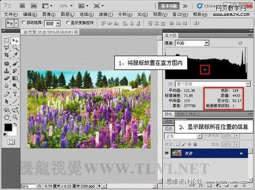 Photoshop直方圖調板調整圖像色彩應用教程