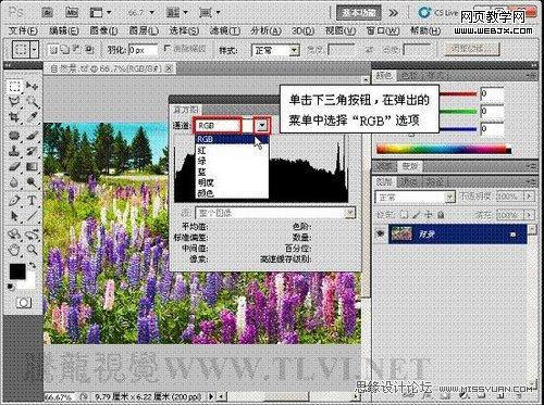 Photoshop直方圖調板調整圖像色彩應用教程