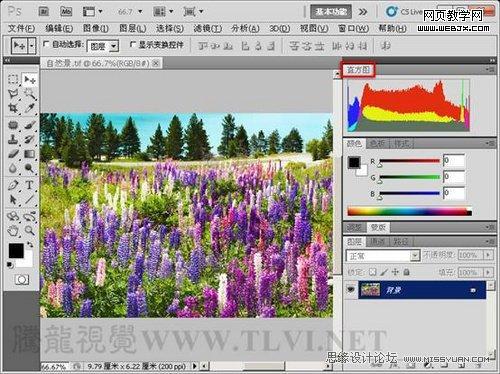 Photoshop直方圖調板調整圖像色彩應用教程