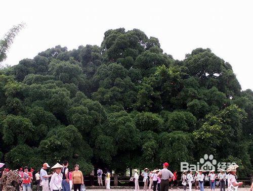 桂林旅遊景點，長沙到桂林旅遊線路