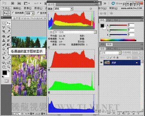 Photoshop直方圖調板調整圖像色彩應用教程