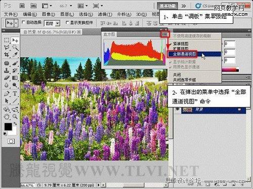 Photoshop直方圖調板調整圖像色彩應用教程