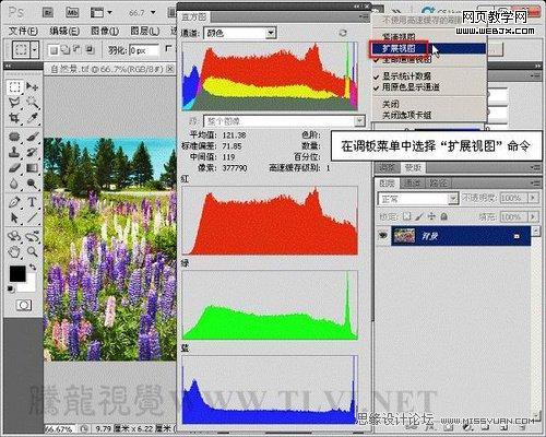 Photoshop直方圖調板調整圖像色彩應用教程