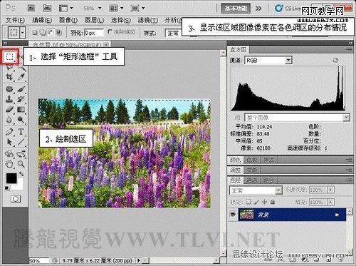 Photoshop直方圖調板調整圖像色彩應用教程