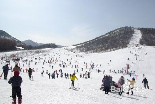 武漢到神農架滑雪行程