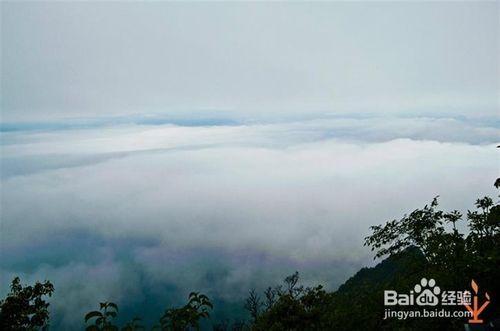 趙公山--成都驢友拉鍊的好去處