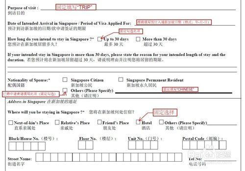 新加坡使館表填寫模版範本 以及簽證材料清單