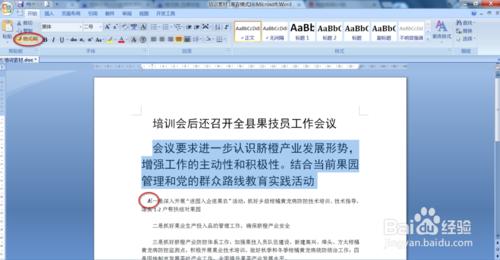 word2007格式刷的使用及技巧