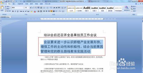 word2007格式刷的使用及技巧