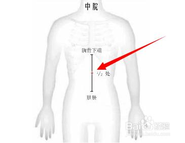 中脘穴位位置圖及作用