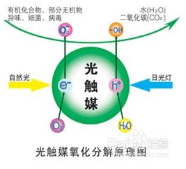 空氣淨化器的作用