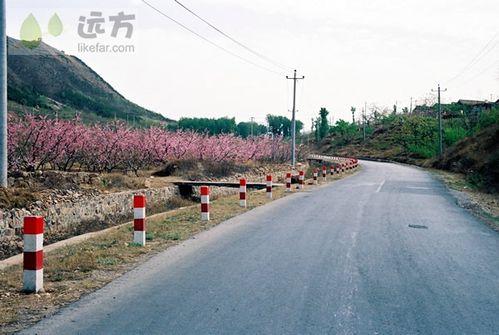 北京春季賞花攻略（春季去北京哪玩）