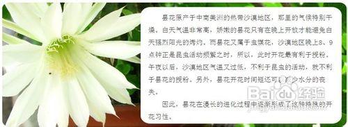 曇花為什麼只能“一現”？