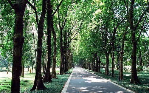 廣州流溪河公園和華南植物園旅遊住宿美食攻略