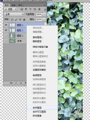 怎樣用PhotoShop製作三維立體畫：[5]第五章