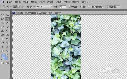 怎樣用PhotoShop製作三維立體畫：[5]第五章