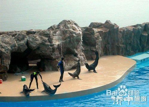 香港海洋公園介紹/旅遊指南