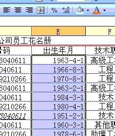 EXCEL使用小技巧：[16]設置中文日期格式