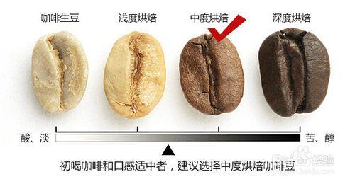 如何分辨咖啡豆的好壞